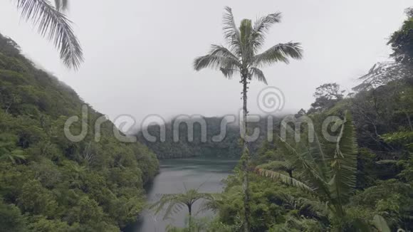 晨雾笼罩湖面青山绿意热带森林薄雾和热带湖泊在绿色高地和山地之间视频的预览图