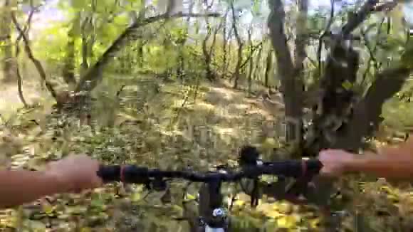 秋天女孩骑自行车在森林里的一条小路上阳光明媚视频的预览图