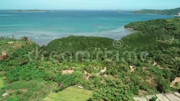 飞越稻田和椰树的碧海背景靠近大海的水稻梯田的鸟瞰图视频的预览图