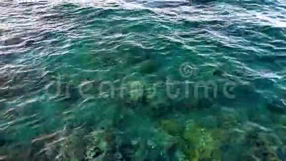 4k视频美丽的绿松石海浪和生长在海底的活珊瑚视频的预览图
