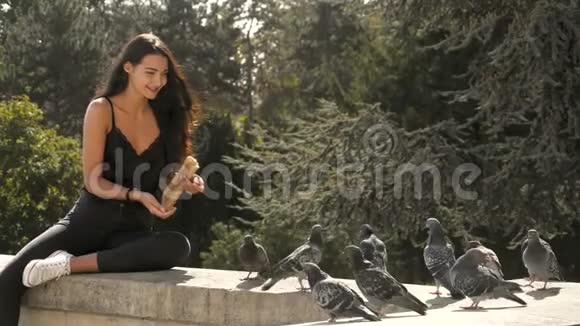 美丽的年轻女孩喂鸽子慢镜头4K镜头视频的预览图