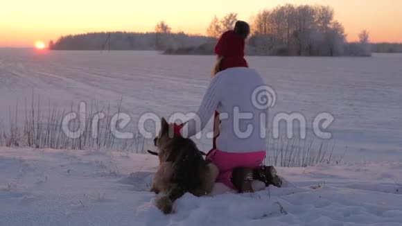 在夕阳西下的冬夜一只美丽的宠物狗坐在雪地里视频的预览图