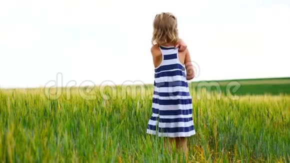 小女孩在田野里捉蚱蜢或蝴蝶视频的预览图