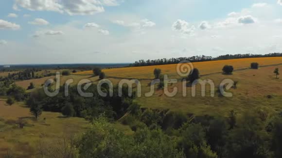 郊野绿谷乡村天际线的绿野和山峦鸟瞰视频的预览图