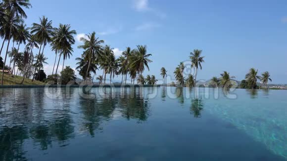 棕树环绕热带地区游泳池表面的电影照片视频的预览图