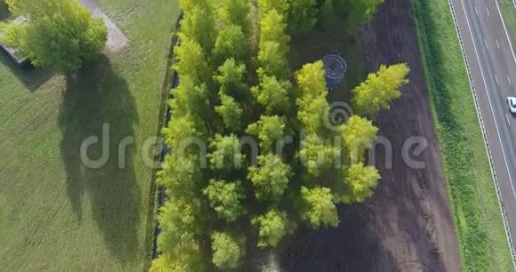 高速公路周围树木的鸟瞰图视频的预览图