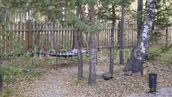 林中吊床视频的预览图