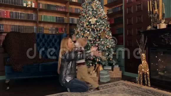 妈妈轻轻地抱着小儿子靠近圣诞树视频的预览图
