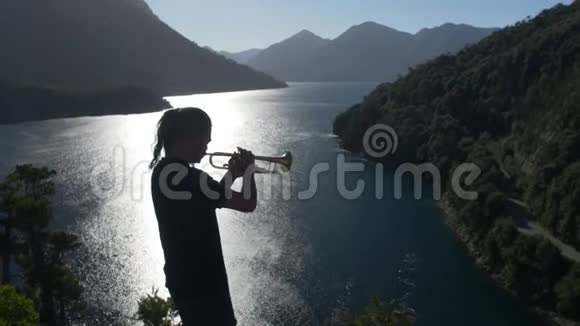 音乐家在风景中演奏小号视频的预览图