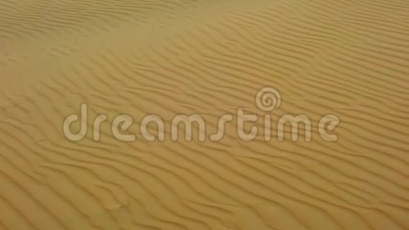 高清慢动作视频顶部视图在撒哈拉沙漠非洲沙子上有美丽的波浪视频的预览图