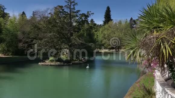 美丽的公园和大池塘视频的预览图