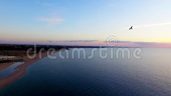 空气视图几只鸟飞过海滩日落时分视频的预览图