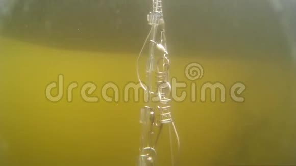 水下视频中的一个大梭子和鲈鱼附着在外面挂在船下钓鱼奖杯视频的预览图