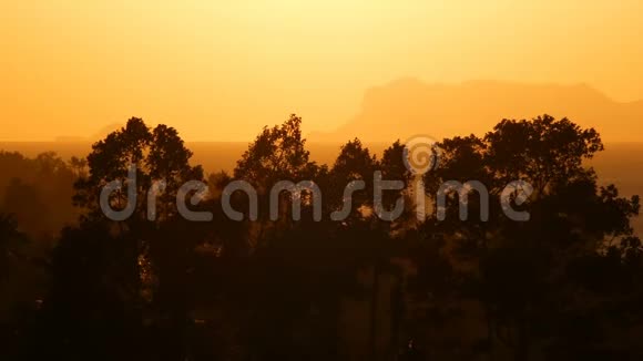 在夕阳的阴霾中郁郁葱葱的树木映衬着金色的山景视频的预览图