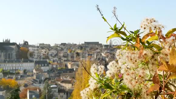波蒂埃斯法国植物和城市景观视频的预览图