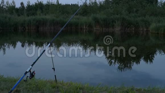 晚上在池塘边钓鱼视频的预览图