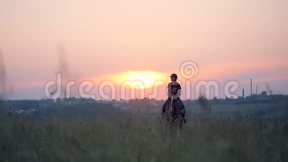 女运动员骑着一匹棕马穿过一片广阔的田野视频的预览图
