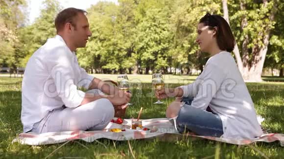 两个人在公园里度过浪漫的一天喝白葡萄酒视频的预览图