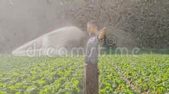 在种植园的灌溉过程中快乐而疲惫的农夫举起了双手视频的预览图