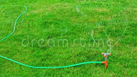 花园里的洒水器缓慢地工作把水撒在草地上视频的预览图