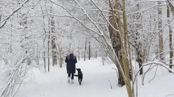 女人用狗在冬天的森林里散步从后面看视频的预览图