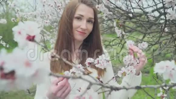 春天盛开的大树旁美丽的姑娘视频的预览图