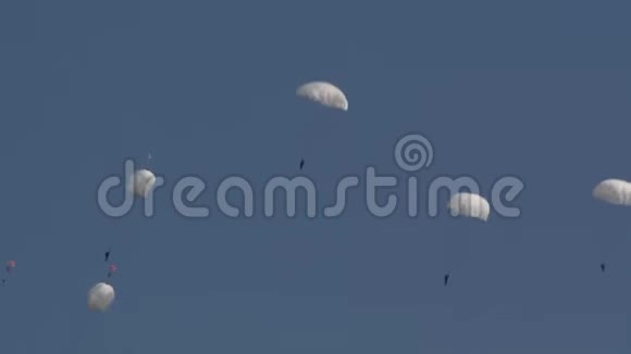 从飞机上跳伞时在天空中暴露降落伞跳伞者的分离视频的预览图