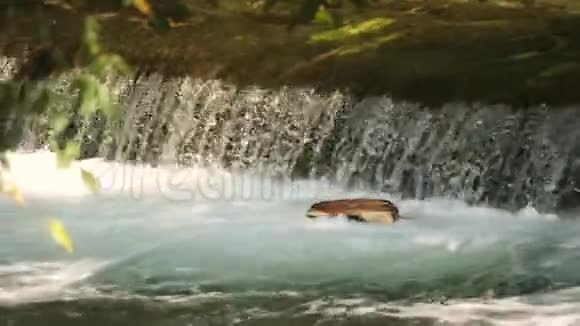 自然界流动的新鲜天然矿泉水视频的预览图