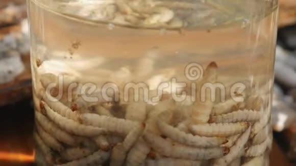 养蜂人收集幼虫蜡蛾叮咬蜂窝蜂蛾药中药视频的预览图