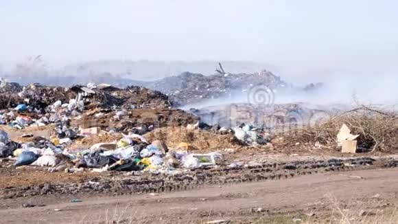 焚烧垃圾场污染环境大风将燃烧垃圾的有毒烟雾上升到空气中视频的预览图