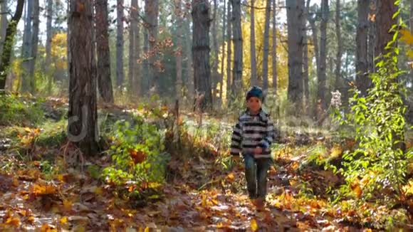男孩穿过秋天的森林慢动作视频的预览图