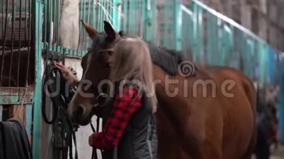 一个穿着时髦衬衫的漂亮女孩正在马厩里洗一匹棕色的马视频的预览图