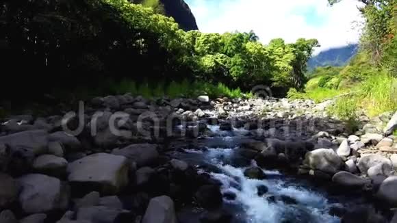 一条流动的夏威夷河视频的预览图