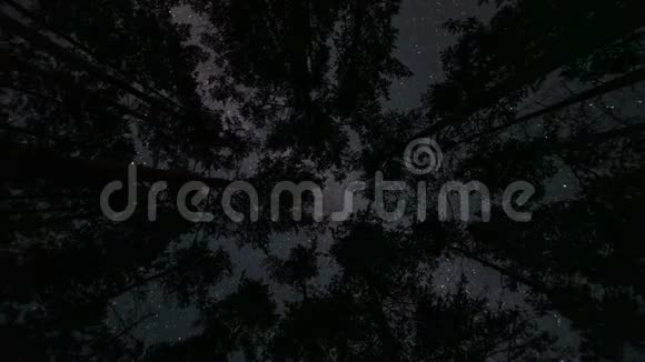 银河系在树的顶端时间推移视频的预览图