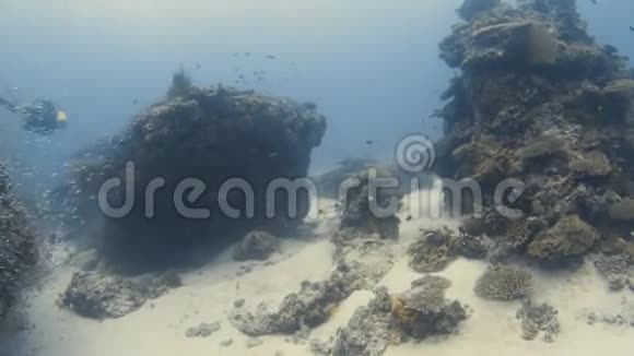 在两个珊瑚礁之间视频的预览图