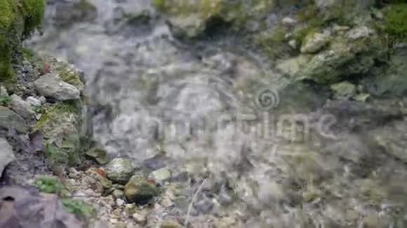 自然景观纯净的梯级水流穿过长满苔藓的石头视频的预览图