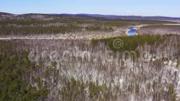 空中拍摄的画面显示在阳光明媚的天气里河水在森林中流淌在雪岸之间视频的预览图