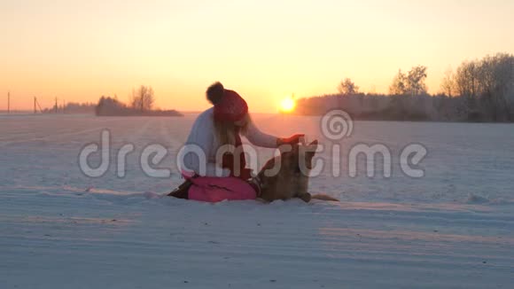 在夕阳西下的冬夜一只美丽的宠物狗坐在雪地里视频的预览图
