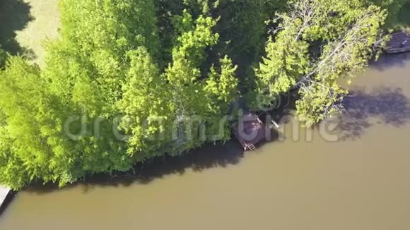 平静的河流和森林海岸无人机射击剪辑以河流木墩和视频的预览图