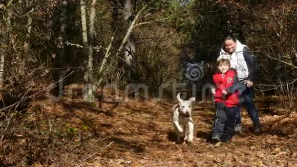 一个女人和一个孩子在森林里和一只狗玩视频的预览图