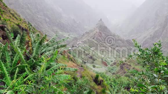 田园山区景观长满青草和香蕉植物的崎岖的山脊沿着山谷蔓延视频的预览图