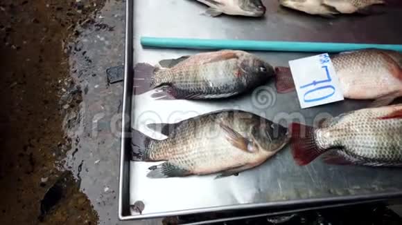 鱼躺在干锅里用鳃劳动等待出售晚餐视频的预览图