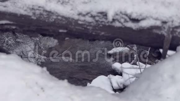 在斯洛文尼亚的冬天喀尔巴阡山的木木下流淌着快速的细沟视频的预览图