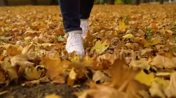 穿着白色运动鞋在秋天落叶上行走的时髦脚低镜头视频的预览图