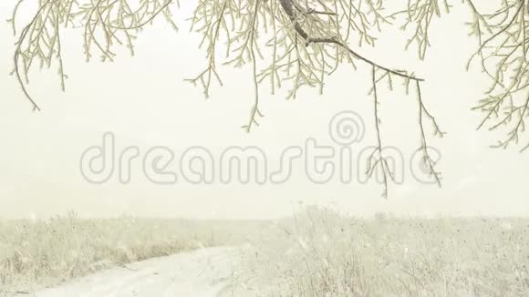 冰雪覆盖的草地小径视频的预览图