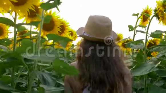 大自然少年戴着眼镜和草帽走在开花的向日葵的田野上视频的预览图