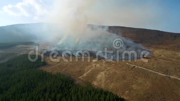 森林大火和山脉的镜头视频的预览图