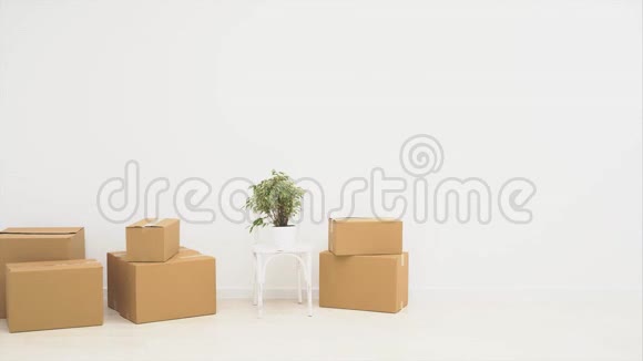 坚固的夫妇是旋转的大移动盒子装满物品隔离在白色背景上行动动画4K视频的预览图