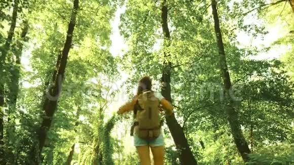 女孩旅行者带着一个背包在树林里散步很高兴把她的手臂伸到两边一个女人走路视频的预览图