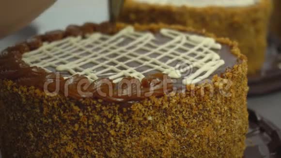 由焦糖奶油摩丝果酱装饰的乌龟和馅饼手工制作甜点蛋糕视频的预览图